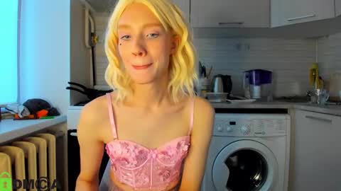 Snapshot of _alice_kitty chatting on December 18, 12:29 pm Gaylord online show from December 18, 12:29 pm
