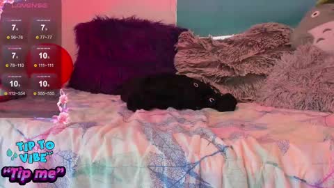 Snapshot of alexa_grey_1 chatting on February 15, 9:04 pm alexa online show from February 15, 9:04 pm
