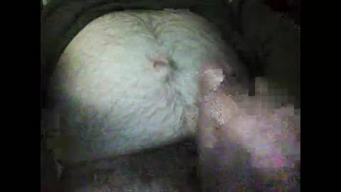 rocco online show from January 24, 12:31 am