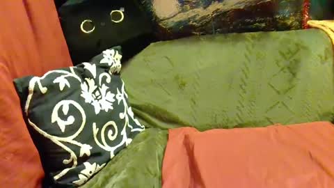 Snapshot of average_girl222 chatting on February 20, 2:46 pm raven blue online show from February 20, 2:46 pm