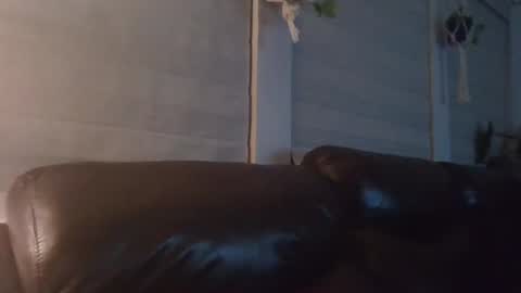 Snapshot of bake42069dick chatting on September 18, 5:00 am bake42069dick online show from September 18, 5:00 am