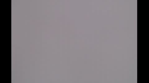 bivi  hot online show from January 8, 1:31 pm