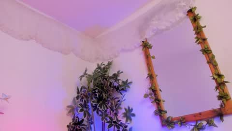 Snapshot of bonniecute_ chatting on September 20, 12:35 am online show from September 20, 12:35 am