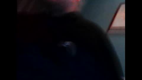 willywinker online show from February 4, 11:27 pm