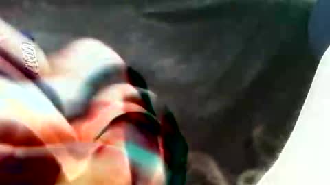 bullemoe online show from September 16, 2:53 pm