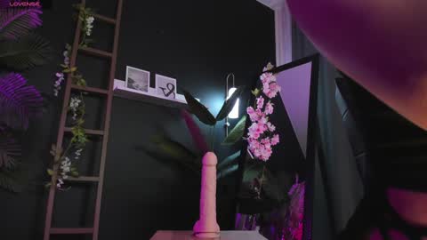 Snapshot of cassiecool chatting on February 2, 2:59 am assie online show from February 2, 2:59 am