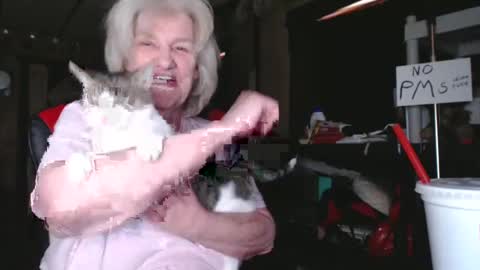 cat online show from February 5, 6:26 pm