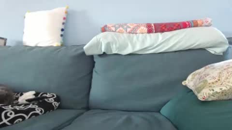 Chelsea online show from December 4, 6:44 pm