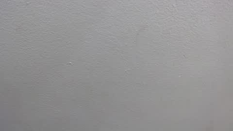 GRETCHEN  online show from January 16, 12:31 pm
