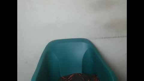 creamyxmuffin online show from September 15, 7:54 am
