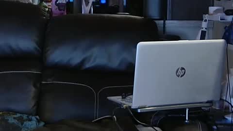 Snapshot of ddboobman chatting on February 6, 11:48 pm want girl to play with me online show from February 6, 11:48 pm