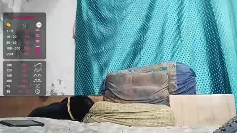 desi_boy799417 online show from February 26, 3:54 pm