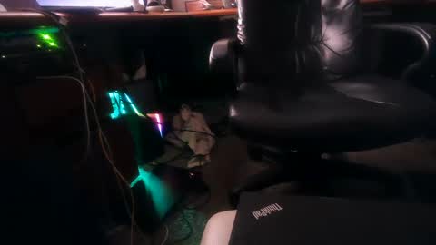 Snapshot of dfwgonewrong chatting on February 4, 10:54 am dfwgonewrong online show from February 4, 10:54 am