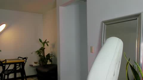 Diego online show from January 14, 2:50 am