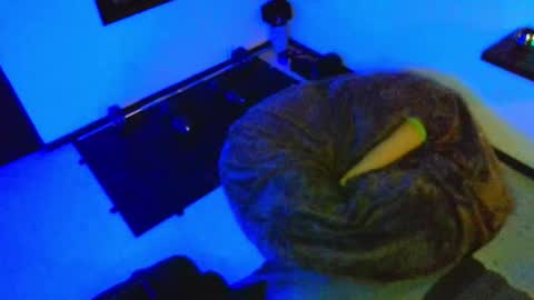 Snapshot of dickdamian_ chatting on December 8, 6:06 pm Damin online show from December 8, 6:06 pm