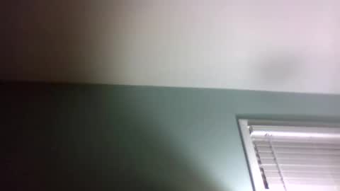 Snapshot of dowbo7777 chatting on January 24, 5:10 am dowbo online show from January 24, 5:10 am