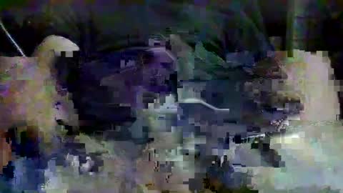 drako1976111 online show from September 13, 4:48 am