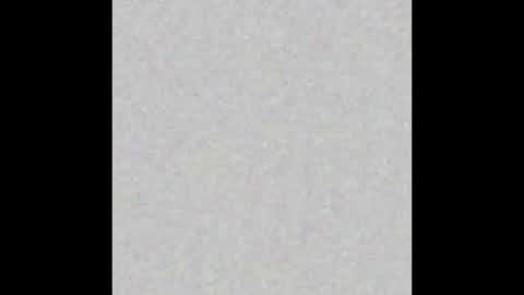 Ely online show from March 5, 11:28 am