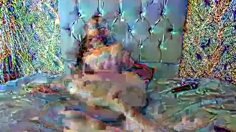 Snapshot of emigomez_ chatting on February 27, 11:48 pm Emilia Gomez online show from February 27, 11:48 pm
