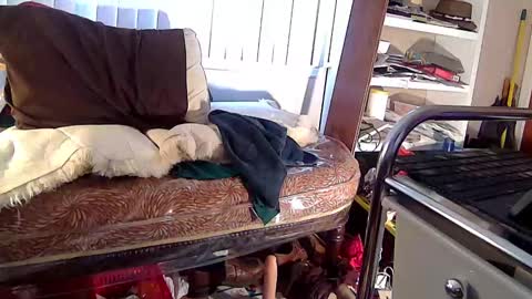 felicitybliss29 online show from December 4, 1:36 pm