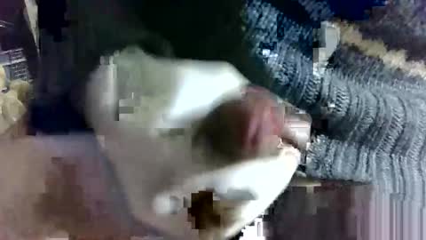tugatito online show from February 14, 9:13 am