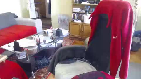 Puppy3 StockyDaddiesmusclebearsbeefybigmans online show from February 15, 12:01 pm
