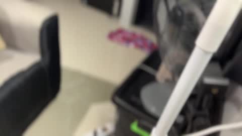 Snapshot of hottransgirl_hugecockyy chatting on January 19, 4:36 pm Imyoursexy Hotangela online show from January 19, 4:36 pm