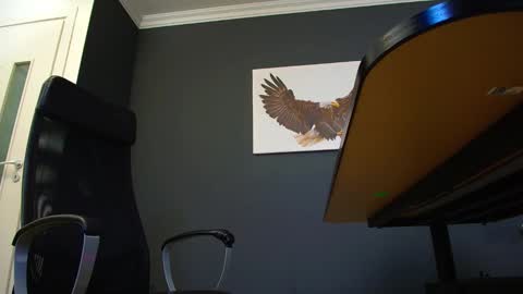 Snapshot of joshknights chatting on March 4, 8:13 am JoshKnight online show from March 4, 8:13 am