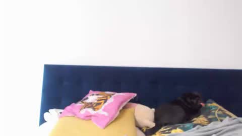 Kajasexydoll4u online show from September 19, 8:07 am