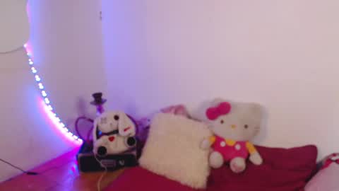 kazumi online show from February 8, 2:26 am