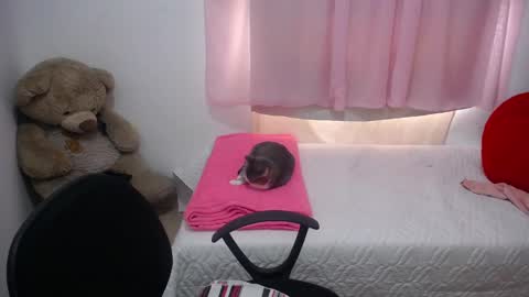 Snapshot of kimberly_slim chatting on February 20, 4:36 pm Kim online show from February 20, 4:36 pm