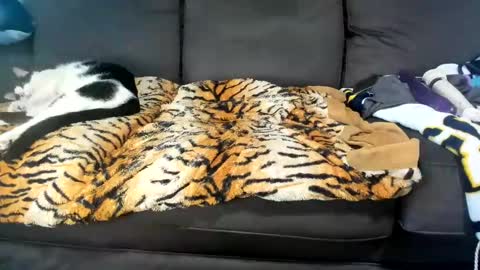 Snapshot of kinkykortney chatting on February 4, 6:17 pm Kinky online show from February 4, 6:17 pm