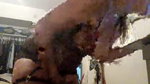 Snapshot of lacybell chatting on September 21, 8:18 am lacybell online show from September 21, 8:18 am