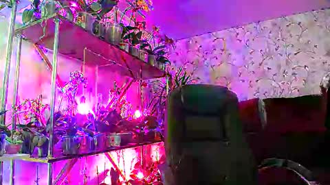 Lady Gloria online show from February 22, 8:40 am