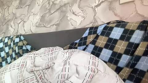 Snapshot of liissa207673 chatting on February 24, 5:11 am liissa207673 online show from February 24, 5:11 am