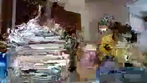 Snapshot of lolahueso chatting on February 12, 4:55 pm LOLA HUESO y ERIC online show from February 12, 4:55 pm