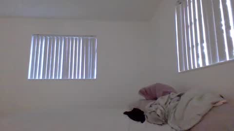 Snapshot of lovelylovelybrooke chatting on February 17, 10:38 pm lovelylovelybrooke online show from February 17, 10:38 pm