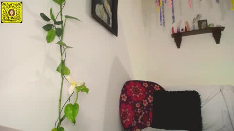 Snapshot of meliss1 chatting on February 11, 12:17 am melissa online show from February 11, 12:17 am