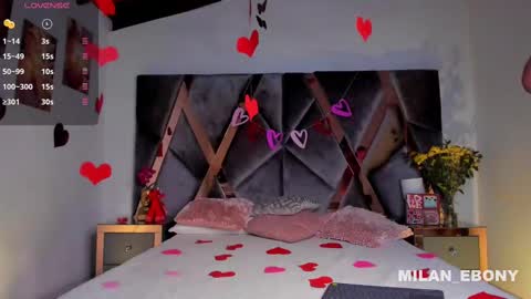 Milan  online show from February 14, 11:31 am