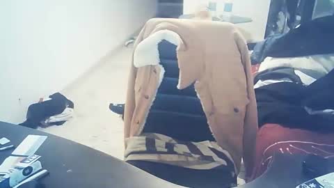 monkeydmajoub89 online show from September 9, 6:41 pm