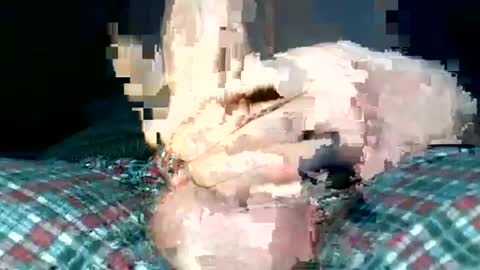 mrbigd1988       online show from January 21, 2:48 pm