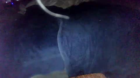 nakednate1780 online show from December 6, 7:04 am