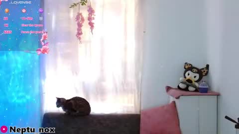Snapshot of neptu_noxx chatting on January 31, 9:48 pm Neptu noxx online show from January 31, 9:48 pm