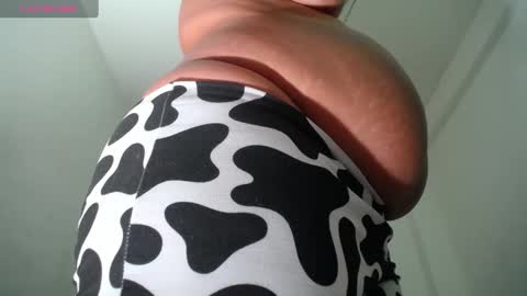 Pamela online show from February 11, 12:04 pm