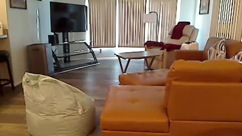 perfecto1957 online show from December 3, 7:39 pm