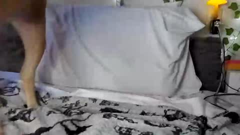 Rhys online show from February 2, 2:38 am