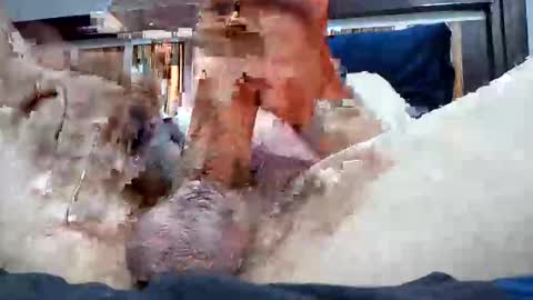 Rexwanker4everyone online show from March 6, 2:09 am