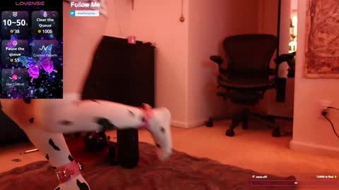 Rosie The Spooky online show from January 27, 3:26 am