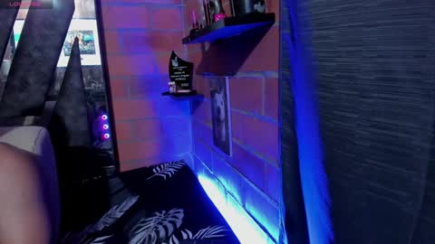 sainix_ online show from January 11, 3:55 am