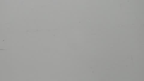 Snapshot of salvatore_damore chatting on February 5, 11:23 am SALVATORE online show from February 5, 11:23 am